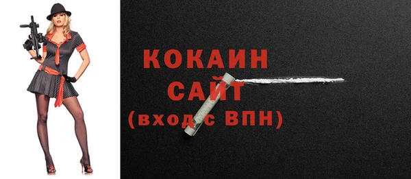 соль ск Арсеньев