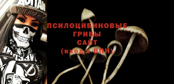 хмурый Армянск