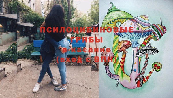 соль ск Арсеньев